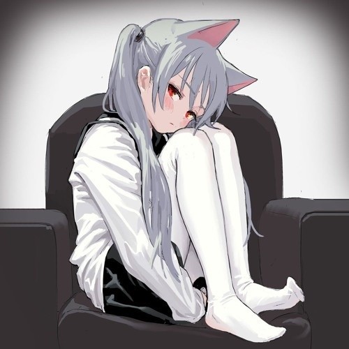 Nekomimi!!