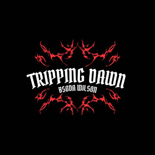 Tripping Dawn