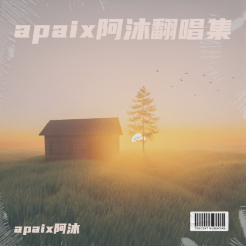 apaix阿沐翻唱集