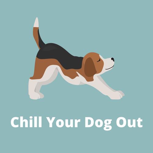 Chill Your Dog Out