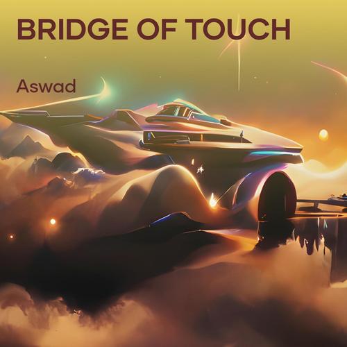 Bridge of Touch