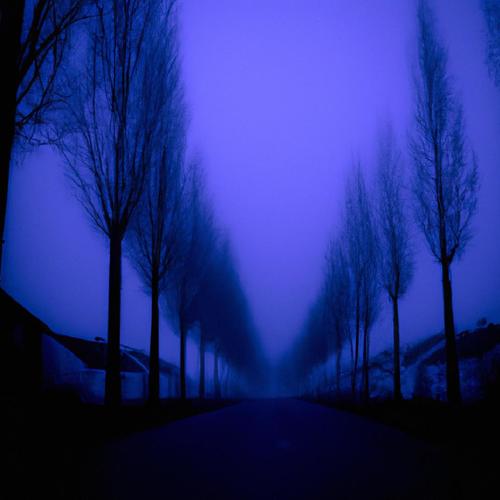 archive of longings