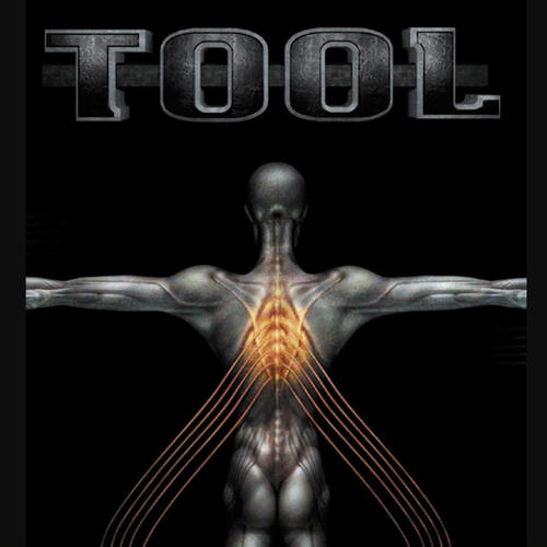 TOOL (No quarter)