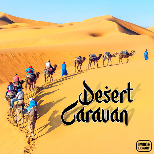 Desert Caravan