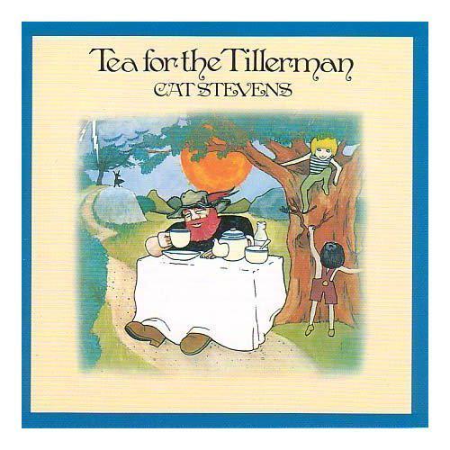 Tea For The Tillerman(Deluxe Edition)