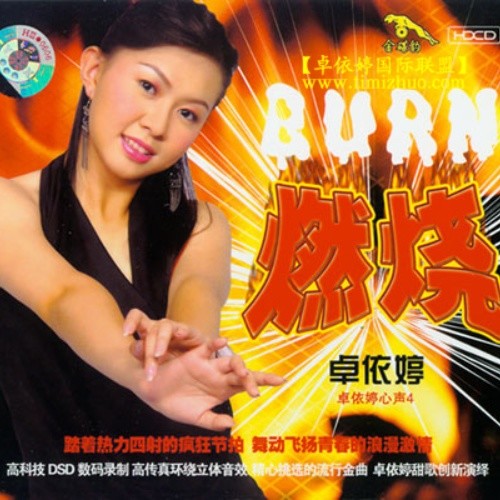 燃烧（BURN）卓依婷心声4