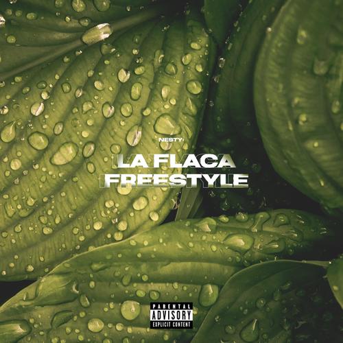 La Flaca Freestyle (Explicit)