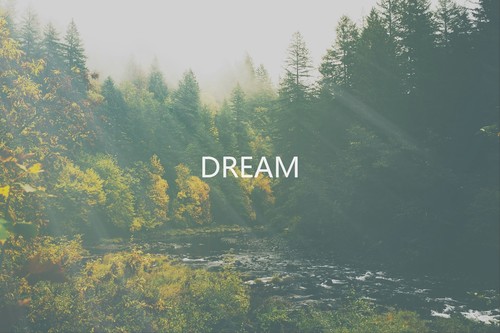 DREAM