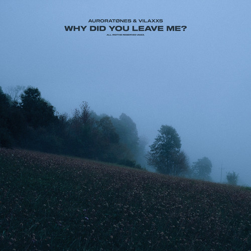 why did you leave me?