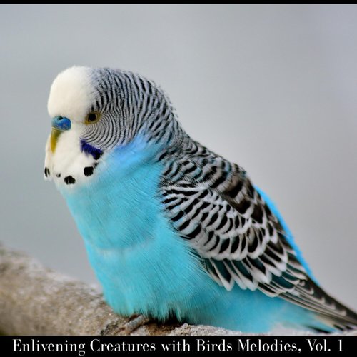 Enlivening Creatures with Birds Melodies, Vol. 1