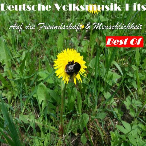 Deutsche Volksmusik Hits: Auf die Freundschaft & Menschlichkeit - Best Of