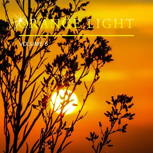 Orange Light, Vol. 5