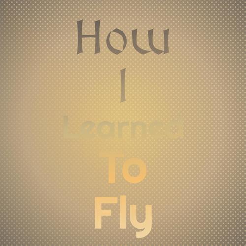 How I Learned to Fly