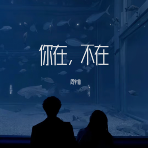 你在不在
