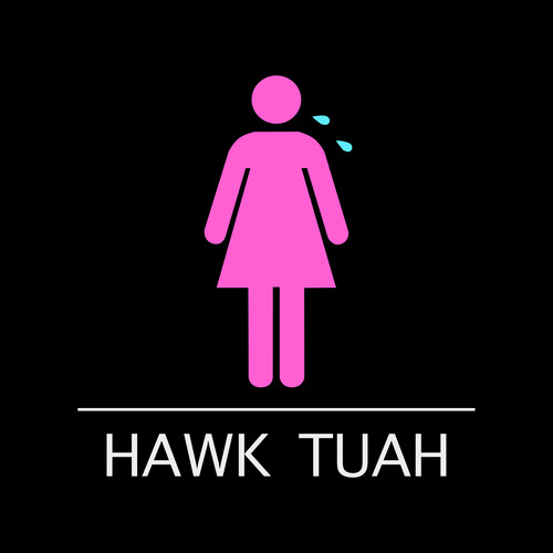 Hawk Tuah (Explicit)