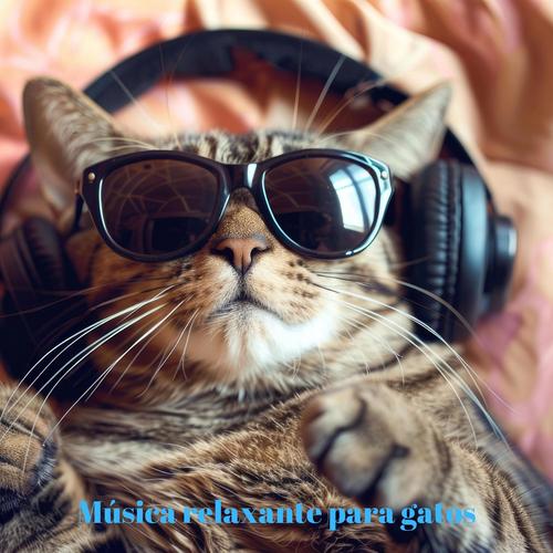 Música relaxante para gatos: música terapêutica para ansiedade e sono tranquilo, relaxe com seu gato