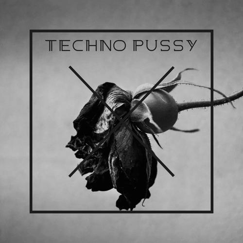 TECHNO PUSSY