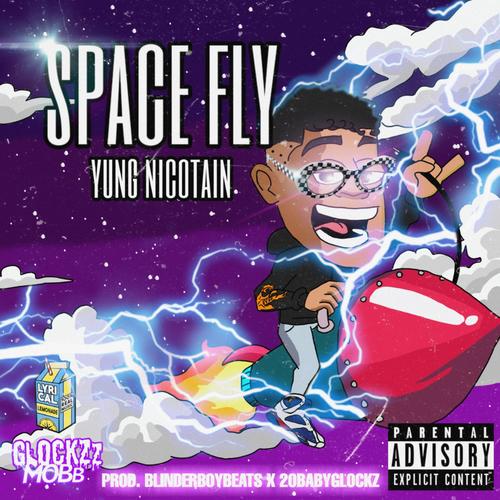 Space Fly