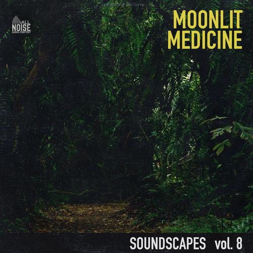 Soundscapes, Vol. 8: Moonlit Medicine