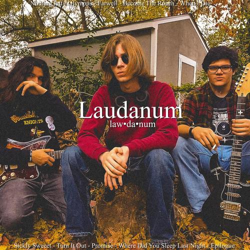 Laudanum (Explicit)