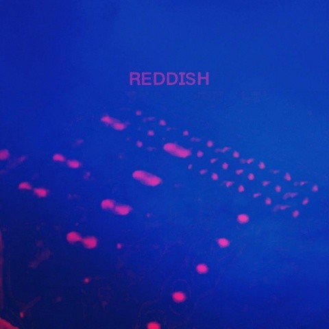 Reddish (Ming re-edit)