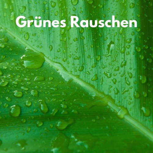 Grünes Rauschen