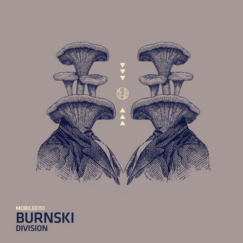 Division