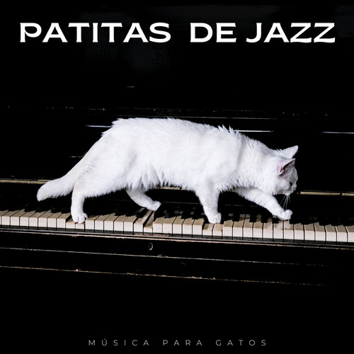 Patitas De Jazz: Música Para Gatos