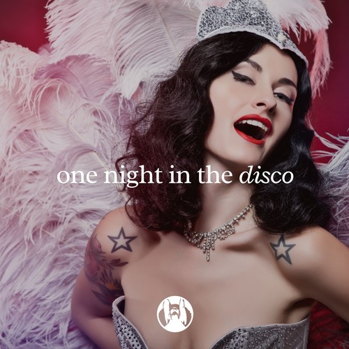 One Night in the Disco