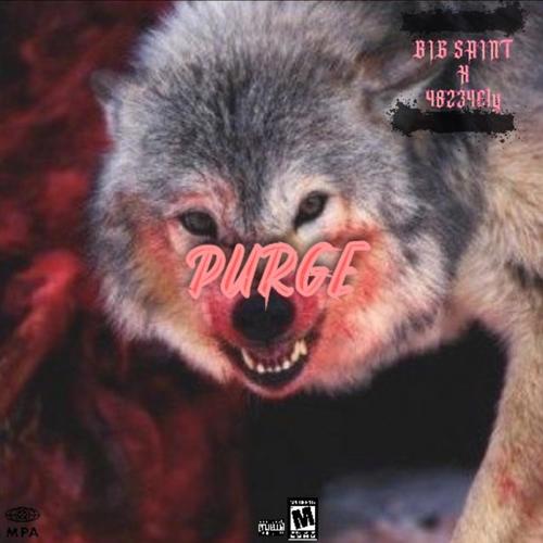 Purge (feat. 48234Ely) [Explicit]