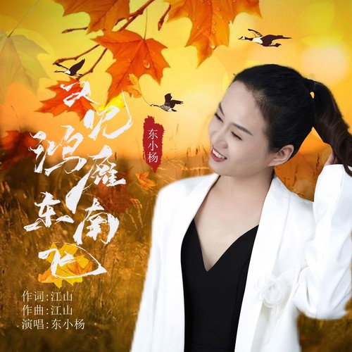 又见鸿雁东南飞(升调版)-合唱