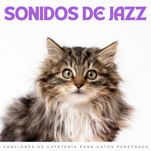 Sonidos De Jazz: Canciones De Cafetería Para Gatos Perezosos