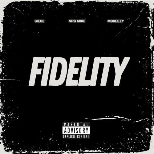 Fidelity (Explicit)