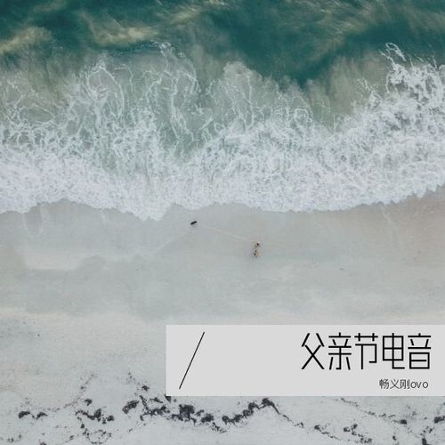 父亲节电音