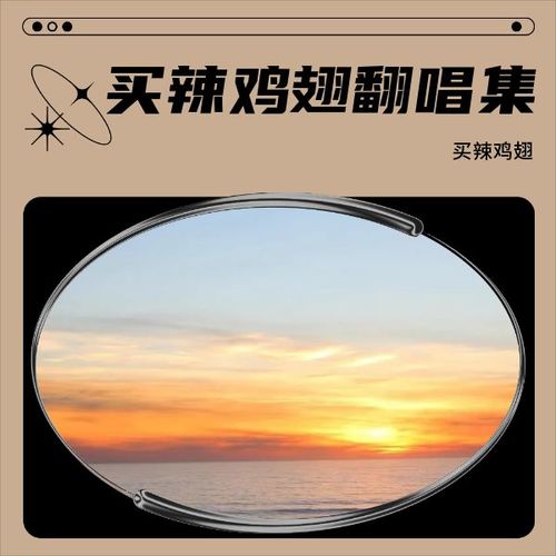 买辣鸡翅翻唱集