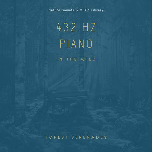 432 Hz Piano in the Wild: Forest Serenades