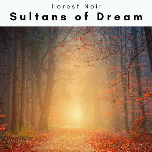 1 0 0 1 Sultans of Dream