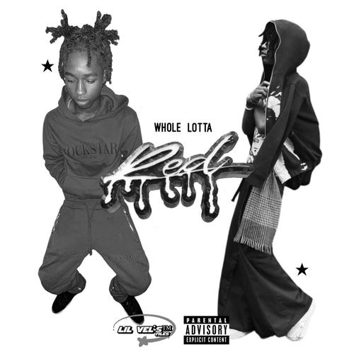 WLR (feat. BavySanya) [Explicit]