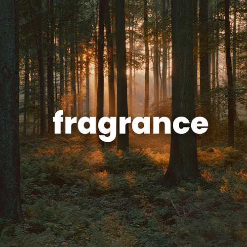 fragrance