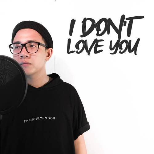 I Don’t Love You