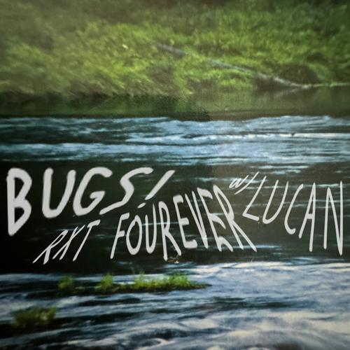 bugs! (feat. lucan) [Explicit]