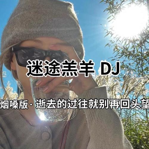 迷途羔羊（DJ版）