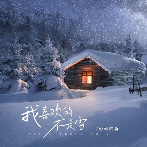 我喜欢的不是雪