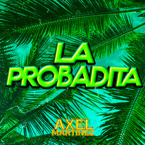 La Probadita RKT (Remix)