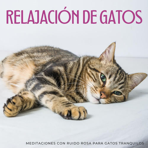 Relajación De Gatos: Meditaciones Con Ruido Rosa Para Gatos Tranquilos