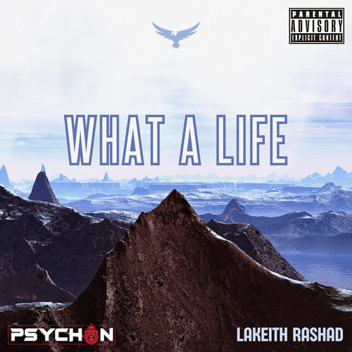 What a Life (Explicit)