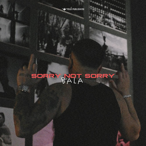 Sorry not sorry (Explicit)