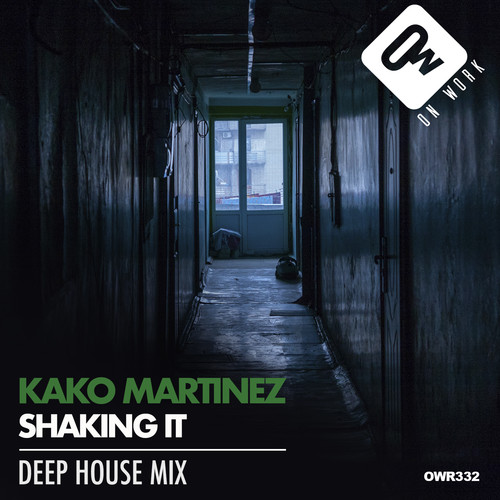 Shaking it (Deep House Mix)