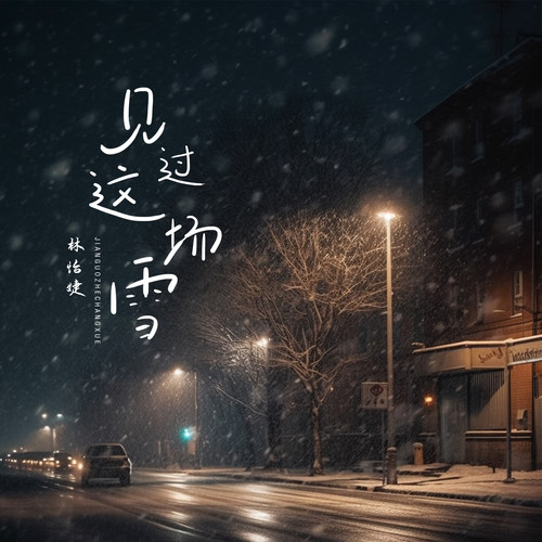 见过这场雪(就当见过面)