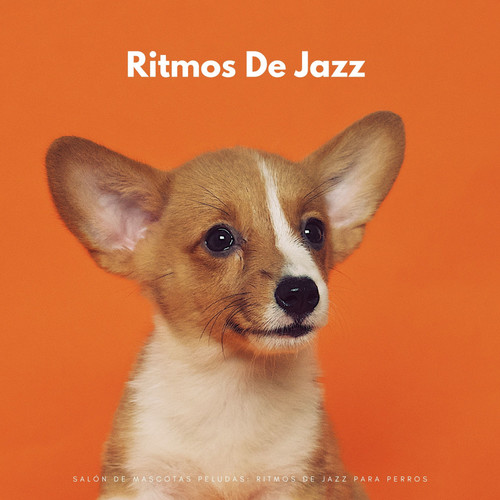 Salón De Mascotas Peludas: Ritmos De Jazz Para Perros